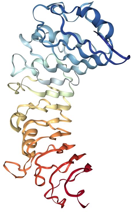 Cd14 Protein Overview Sino Biological