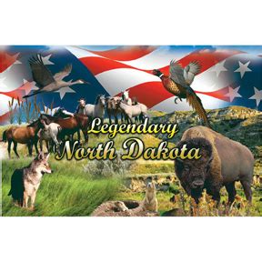 NORTH DAKOTA WILDLIFE POSTCARD – Official Collectors Club