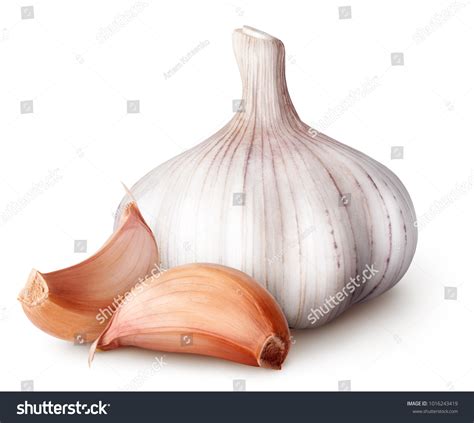 231,167 Fresh Garlic Isolated White Images, Stock Photos & Vectors ...