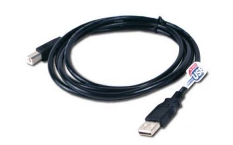 Cable USB 2 0 Ab Para Impresora Multifuncion 5 Metros PowerTech Durazno