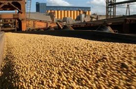 Récord de agroexportaciones en marzo casi US 3 000 M la mejor cifra