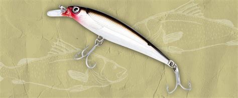 The 7 Best Snook Lures In 2023 [Top Picks] | FindyourFish