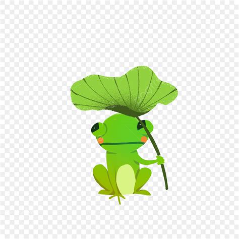 Green Lotus Leaf Hd Transparent, Green Fresh Frog Holding A Lotus Leaf ...