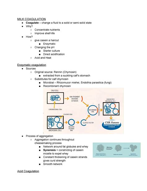 Milk Coagulation & Cheesemaking - MILK COAGULATION Coagulate – change a fluid to a solid or ...