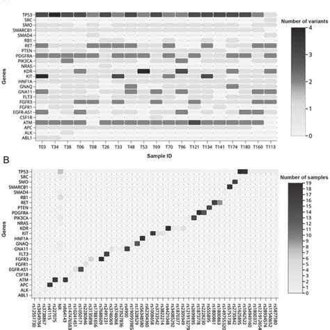 Distribution of the genetic variants by gene and by sample. (A) The ...