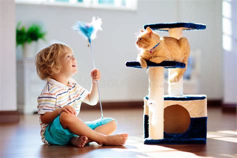 Child Playing with Cat at Home. Kids and Pets Stock Image - Image of ...