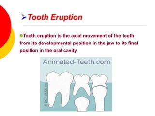 Biology Of Orthodontic Tooth Movement PPT