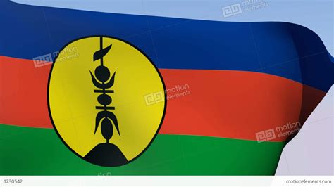 Flag Of New Caledonia Stock Animation 1230542