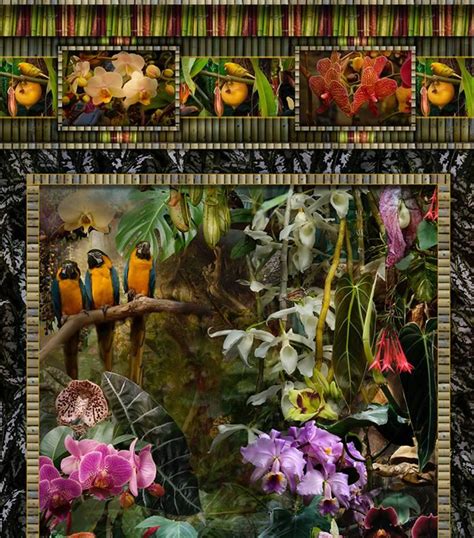 Lisa A Frank Conservatory Vertical Still Life Photograph Of