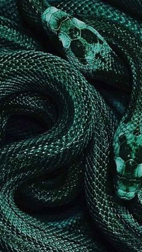 Slytherin Aesthetic 🐍 Archives The Mood Guide