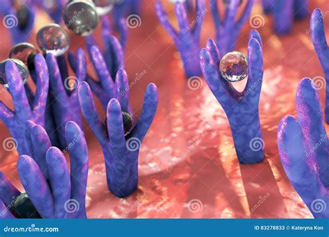 Cellular Membrane With Receptors Royalty-Free Stock Photography ...