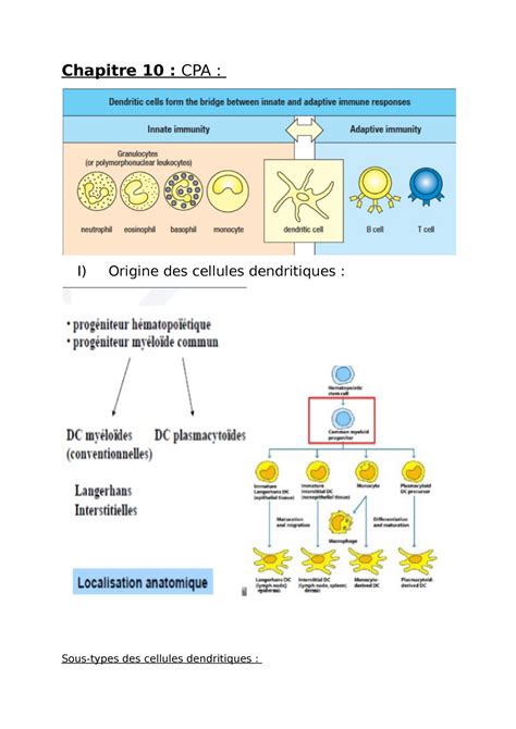 Chapitre D Immunologie Le CPA Immunologie UM6SS Studocu