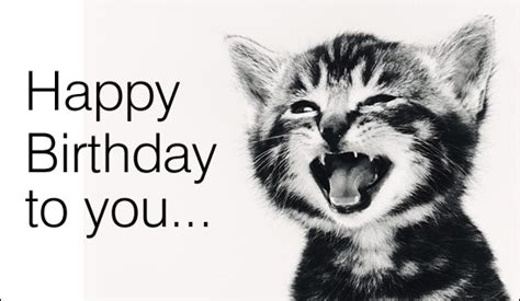 Free Singing Cat eCard - eMail Free Personalized Birthday Cards Online