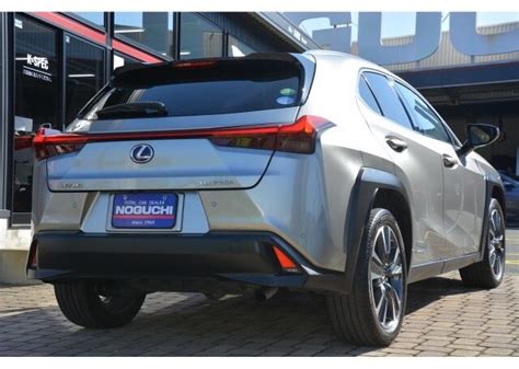 2020 Lexus UX250 Hybrid | DD Auto Imports