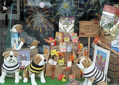 Lewes Bonfire Window Display Pet Shop Pet Store Pet Store Pet