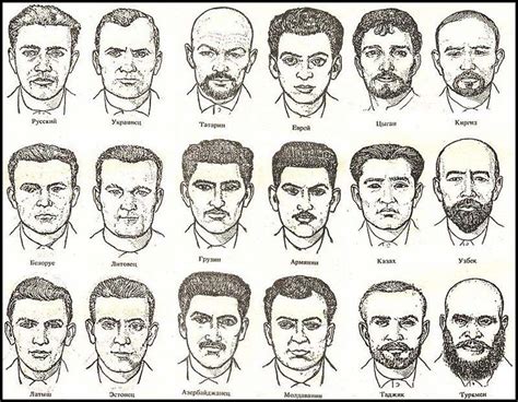 Nose Types Chart By Ethnicity