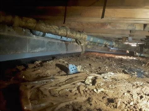 Quality 1st Basement Systems Crawl Space Repair Photo Album Crawl