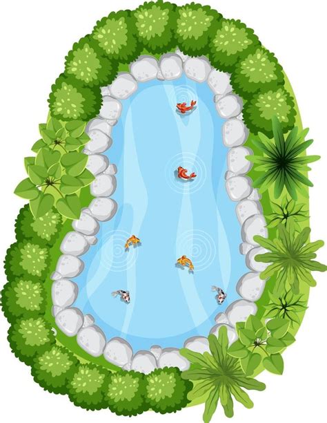 Aerial view with many fishes in nature pond 2882414 Vector Art at Vecteezy