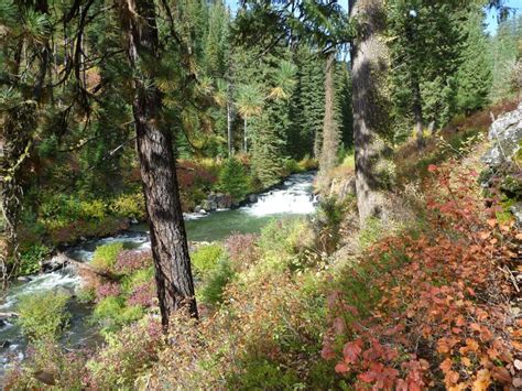 Best Hikes in Beautiful Payette National Forest, Idaho - Pine Coast Hiking