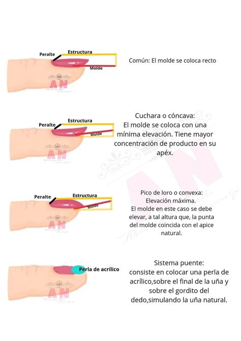 Pin de Carolina Ortiz en Tutorial de uñas decoradas Consejos de