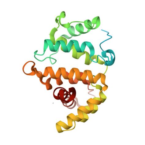 RCSB PDB 3FK2 Crystal Structure Of The RhoGAP Domain Of Human