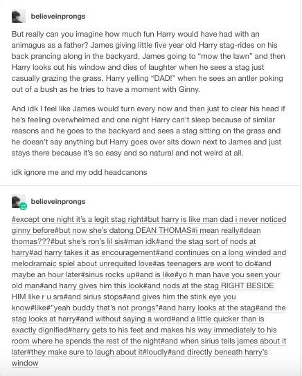 Pin By Maria Thibodeaux On Harry Potter Gay Harry Potter Harry Potter Feels Harry Potter