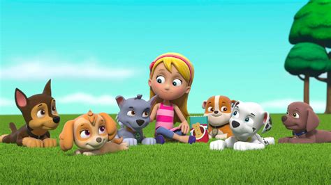 Watch PAW Patrol Season 8 Episode 7 PAW Patrol Pups And Katie Stop