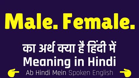 Male Female Meaning In Hindi Male Female Ka Matlab Kya Hota Hain