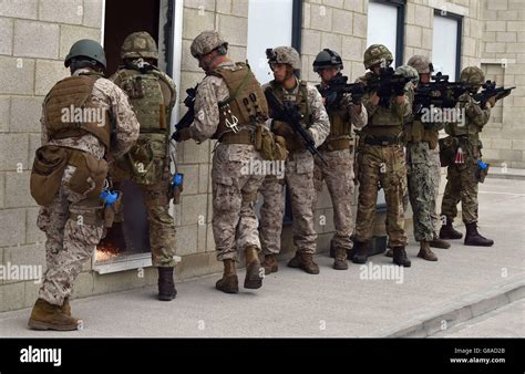 Us marines training hi-res stock photography and images - Alamy