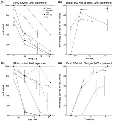 Effect Of B Bassiana On Rpw Survival In Artificially Infested Palms Download Scientific