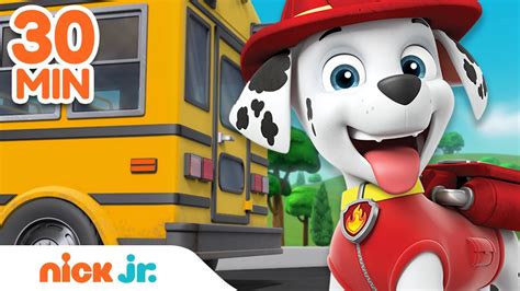 Paw Patrol Back To School Rescues And Adventures 30 Minute Compilation Nick Jr Youtube