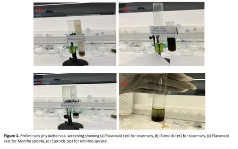 Preliminary Phytochemical Screening Gc Ms Ft Ir Analysis Of Ethanolic