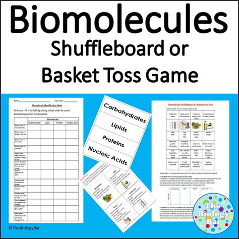 Bioman Simulation DNA Replication DNA Synthesis Worksheet with Quiz ... 