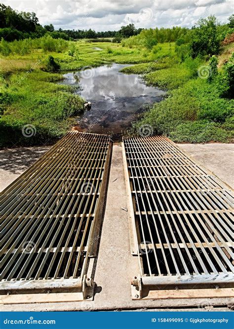 Retention Pond Overflow Drain In The Woods Stock Image Image Of