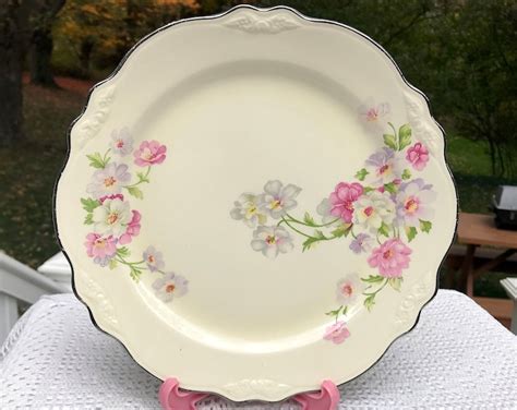 Set Of TWO VR 128 Virginia Rose Luncheon Plates 9 3 8 Fluffy Rose Homer