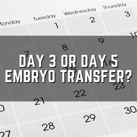 Day 5 Embryo Transfer Due Date Ayudhkristof