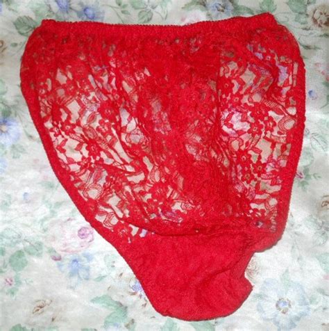 Red Lace Bikini Panties Sheer Red Lace Hi Cut Open Gem
