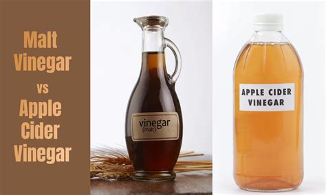 Malt Vinegar Vs Apple Cider Vinegar The Ultimate Verdict The Coconut Mama