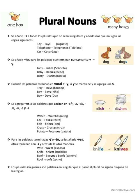 Plural Nouns Français FLE fiches pedagogiques pdf doc