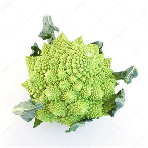 Romanescu Brassica Oleracea Roman Cauliflower Romanesco Broccoli