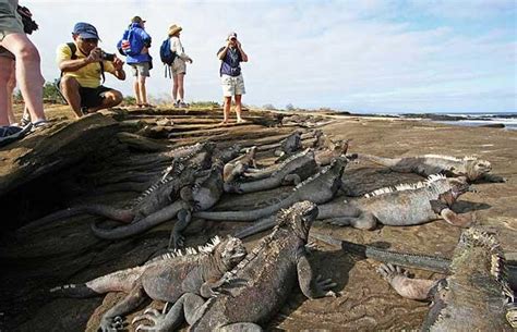 Threats & Conservation - The Galapagos Islands