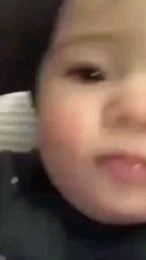 Pussy Meme And Pranks 15 Artofit