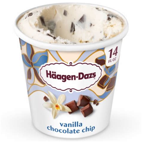 Haagen Dazs Vanilla Chocolate Chip Ice Cream 14 Fl Oz Kroger