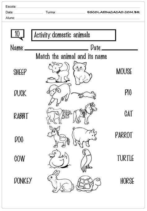 Os Animais Em Inglês - 8