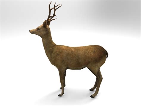 Low Poly Deer Free D Model Ds Obj Dae C D Fbx Free D