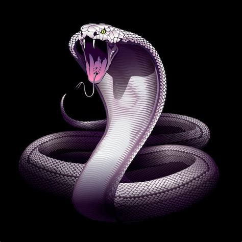 Premium Vector Snake White Cobra Vector Hand Drawn Illustration Of