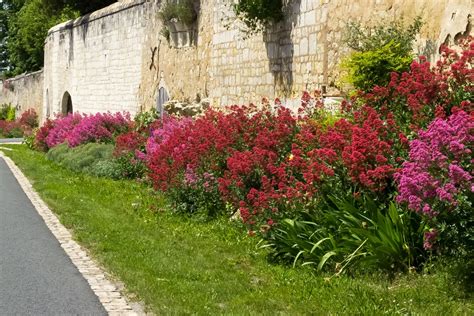 Et Juin Au Coudray Macouard Rendez Vous Aux Jardins Saumur Kiosque