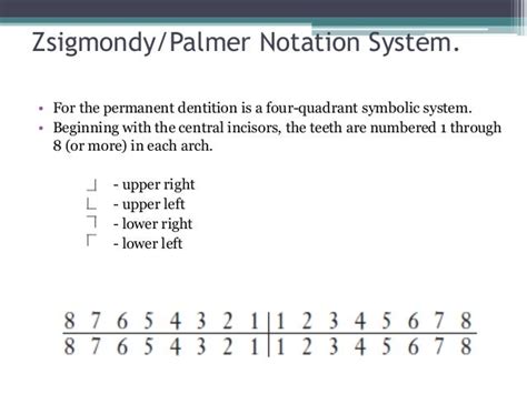 Tooth numbering system