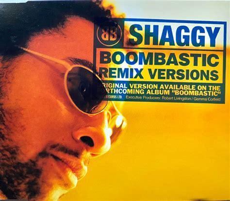 Shaggy Boombastic Remix Versions 1995 Cd Discogs