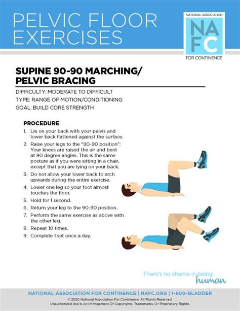 Downloadable Exercises For Your Pelvic Floor - National Association For ...